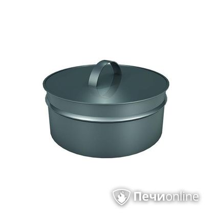 Заглушки Теплов и Сухов Заглушка ревизии Термо-Р 304 0.5 D300(200) в Копейске