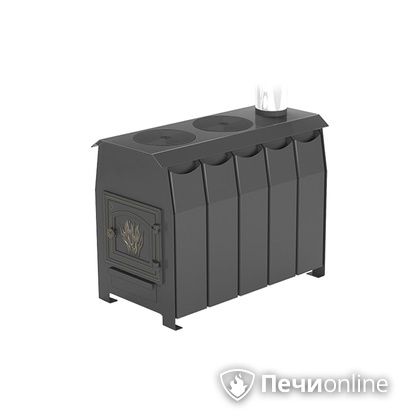 Отопительно-варочная печь Везувий Комфорт 300 (ДТ-3) в Копейске