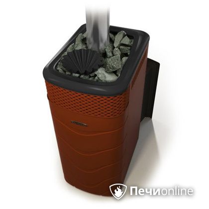 Дровяная банная печь TMF Гейзер XXL 2017 Inox Витра закрытая каменка терракота в Копейске